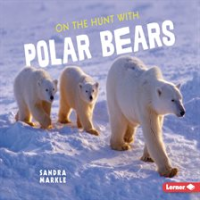 On_the_hunt_with_polar_bears